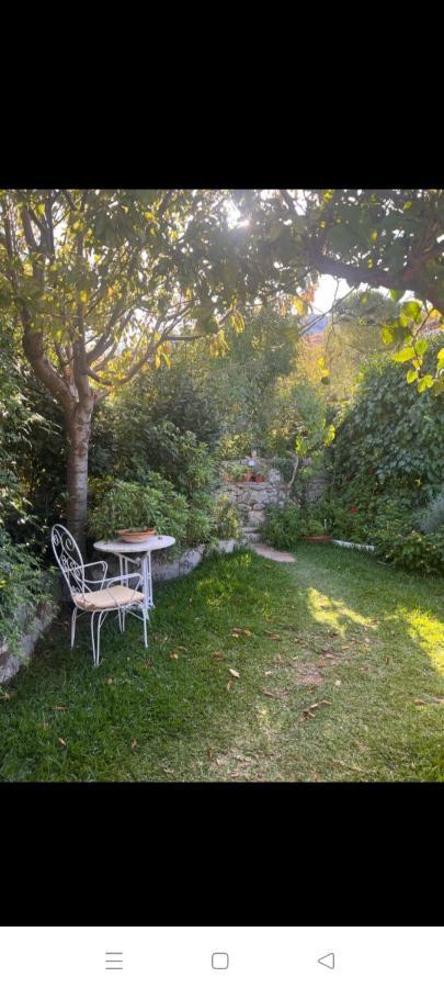 Casa Nani Villa Benaocaz Ngoại thất bức ảnh