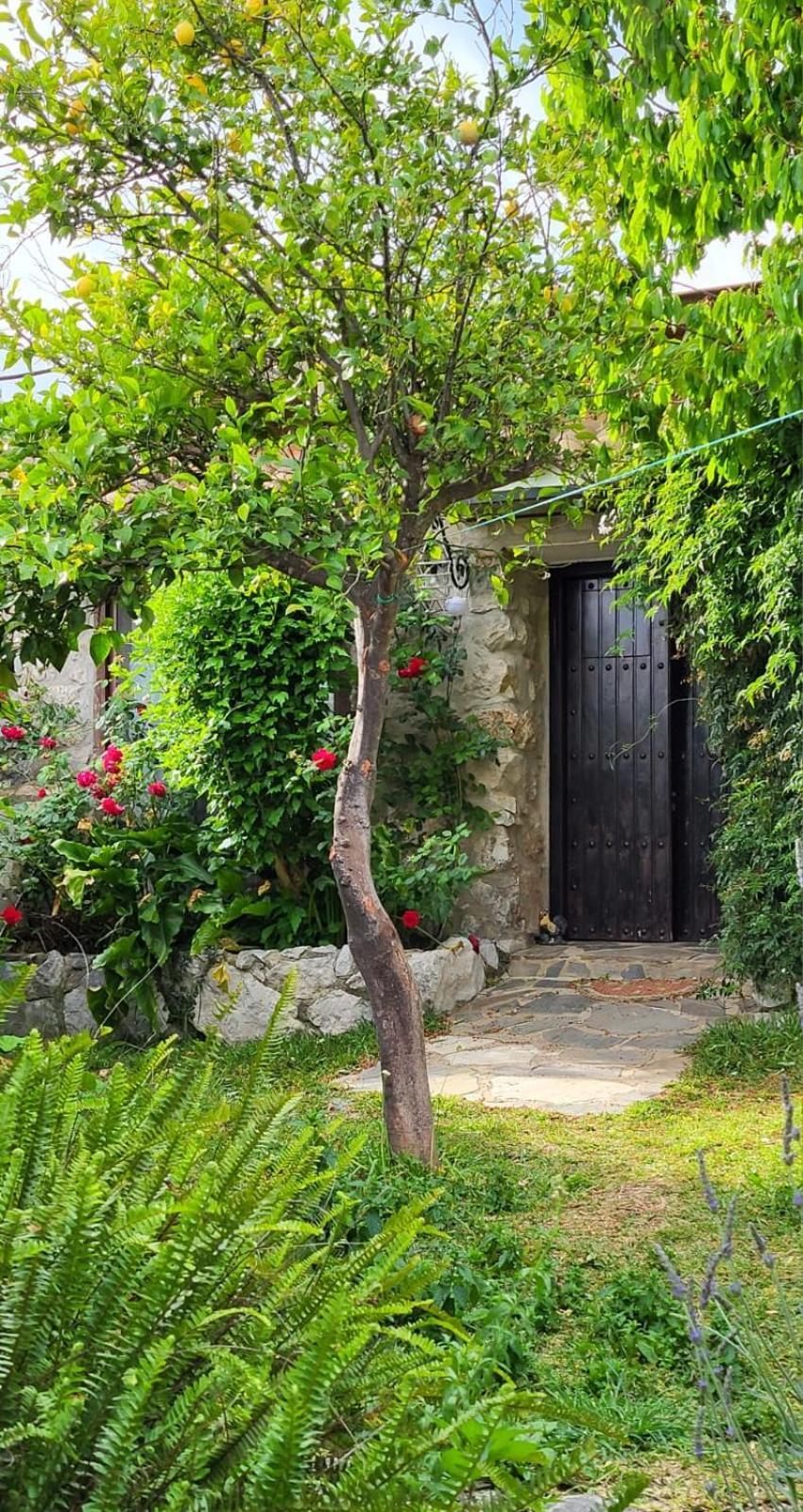 Casa Nani Villa Benaocaz Ngoại thất bức ảnh