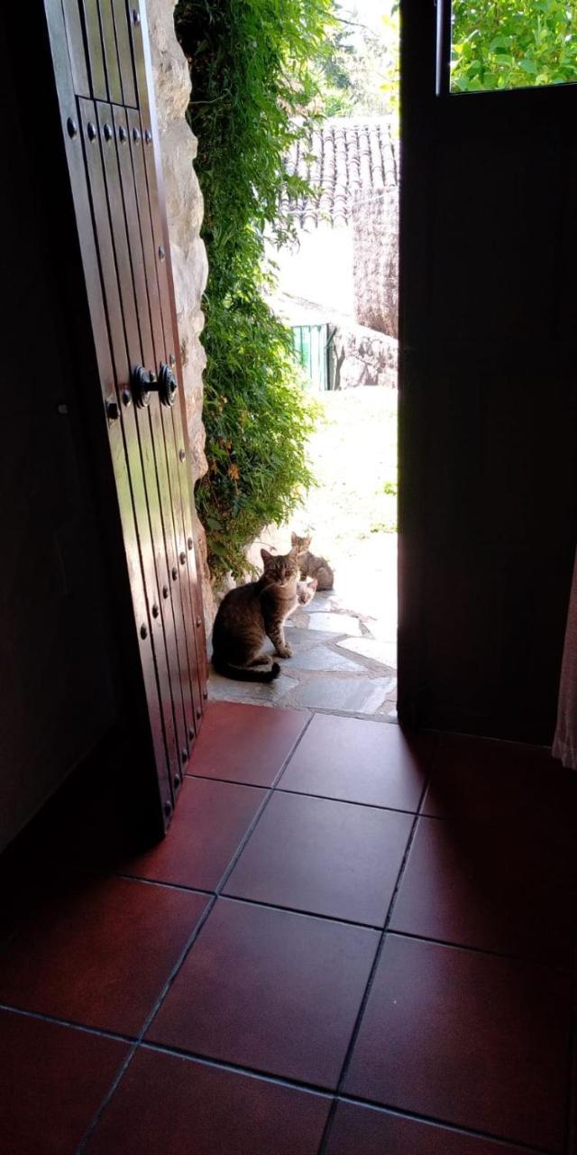 Casa Nani Villa Benaocaz Ngoại thất bức ảnh